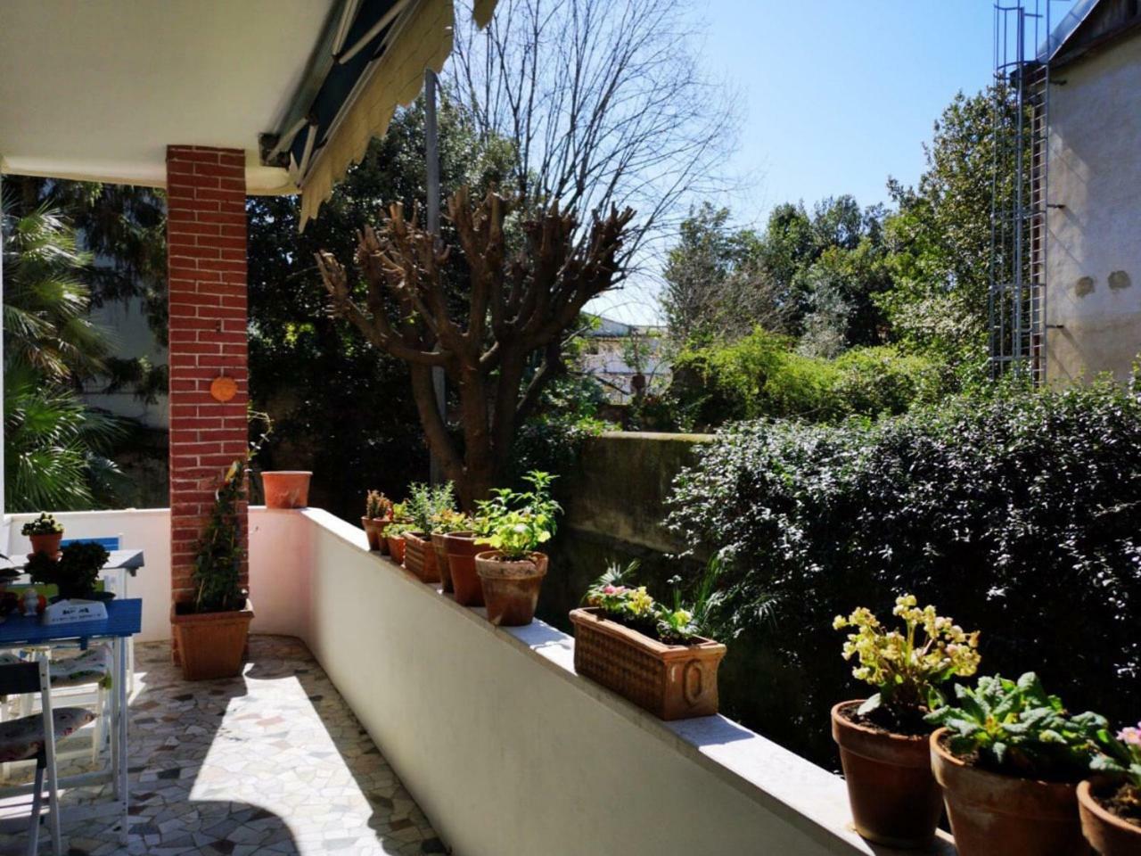 Wanderlust Bnb Pisa Kültér fotó
