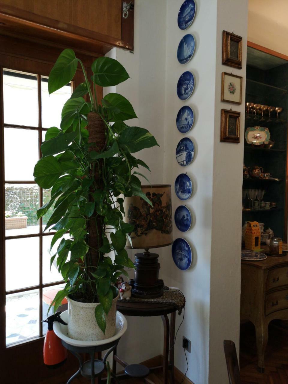 Wanderlust Bnb Pisa Kültér fotó